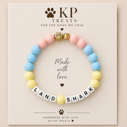 Charm bracelets for your pet
